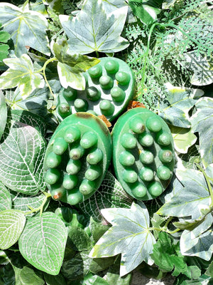 Eucalyptus Bliss massage bar